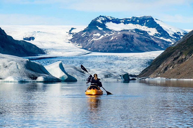 Vẻ đẹp băng giá của vịnh Glacier sẽ khiến bạn thích thú